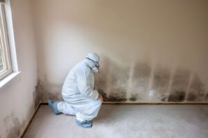 mold removal chattanooga worker